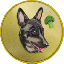 CZ's Dog